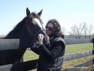 Mooney horse photo